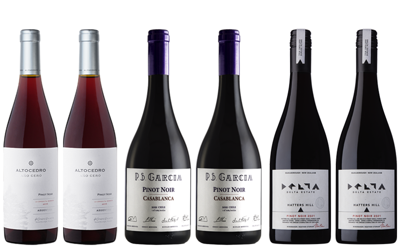 Pinot Noir Weinpaket