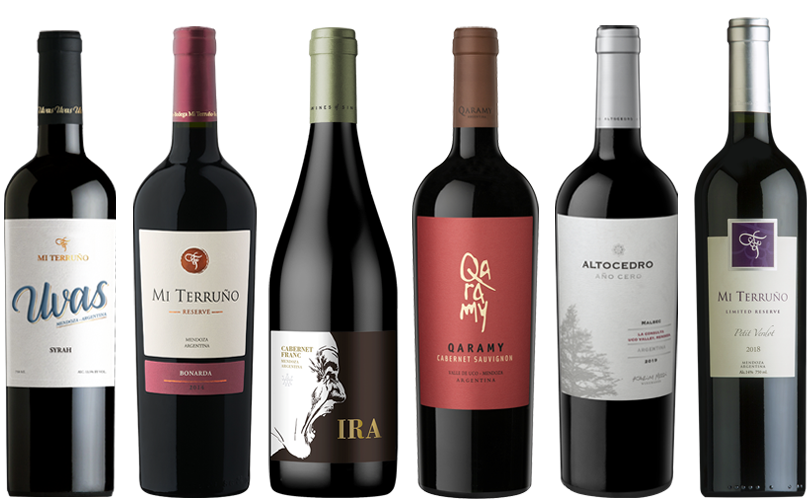 Mendoza Rotweinpaket