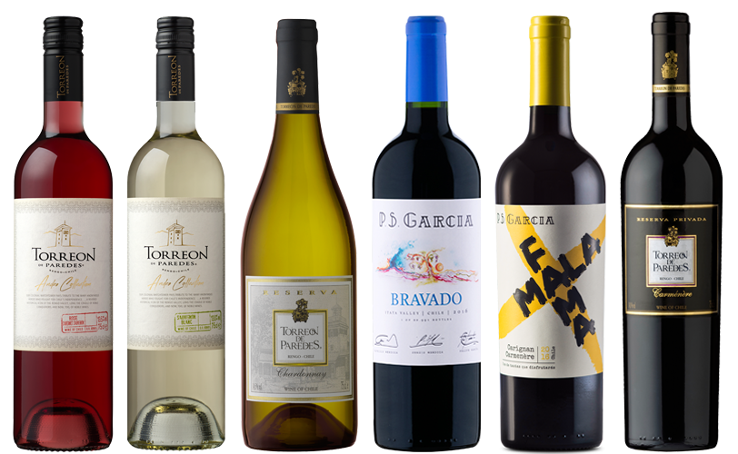 »Anden« Weinpaket Chile