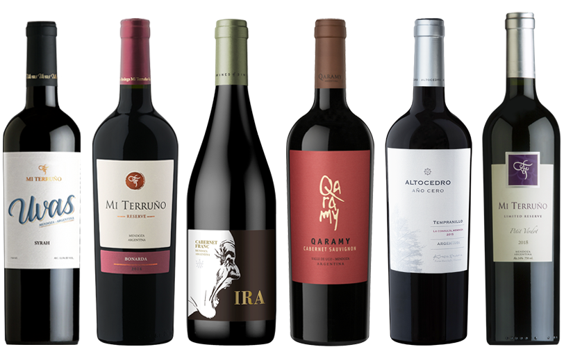 Mendoza Rotweinpaket